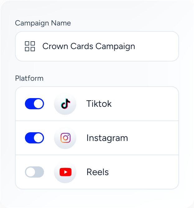 Set the Campaign - Campaign name and platform distribution