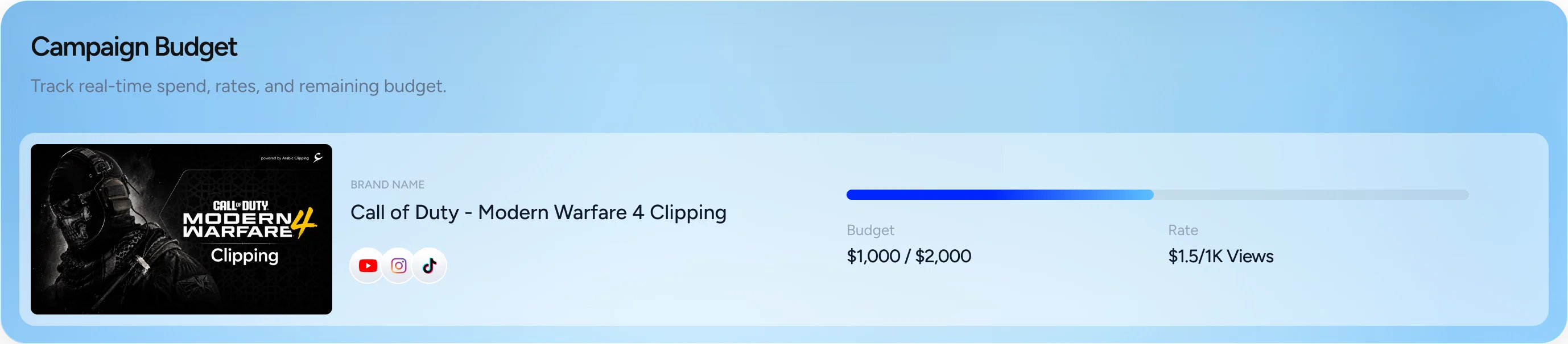 Campaign Budget